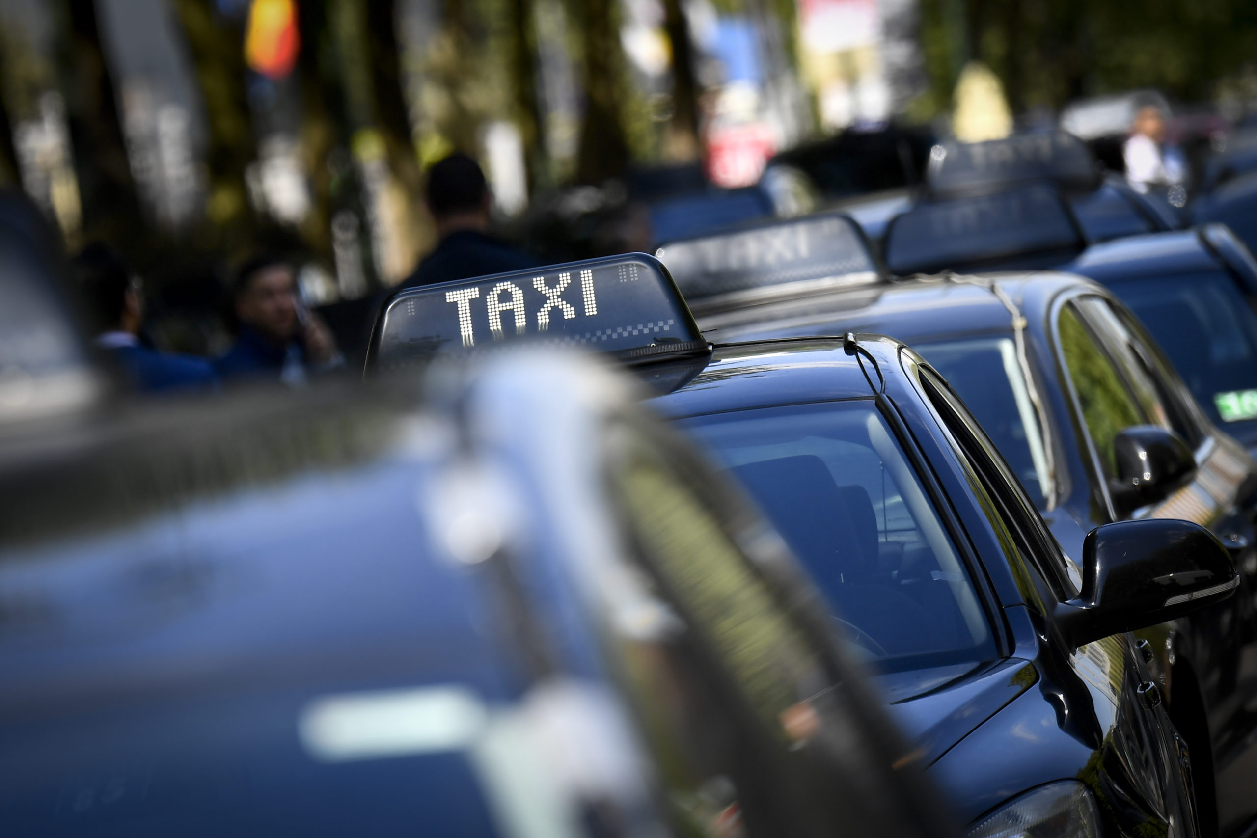 Taxi drivers call for close-down, federation asks government support