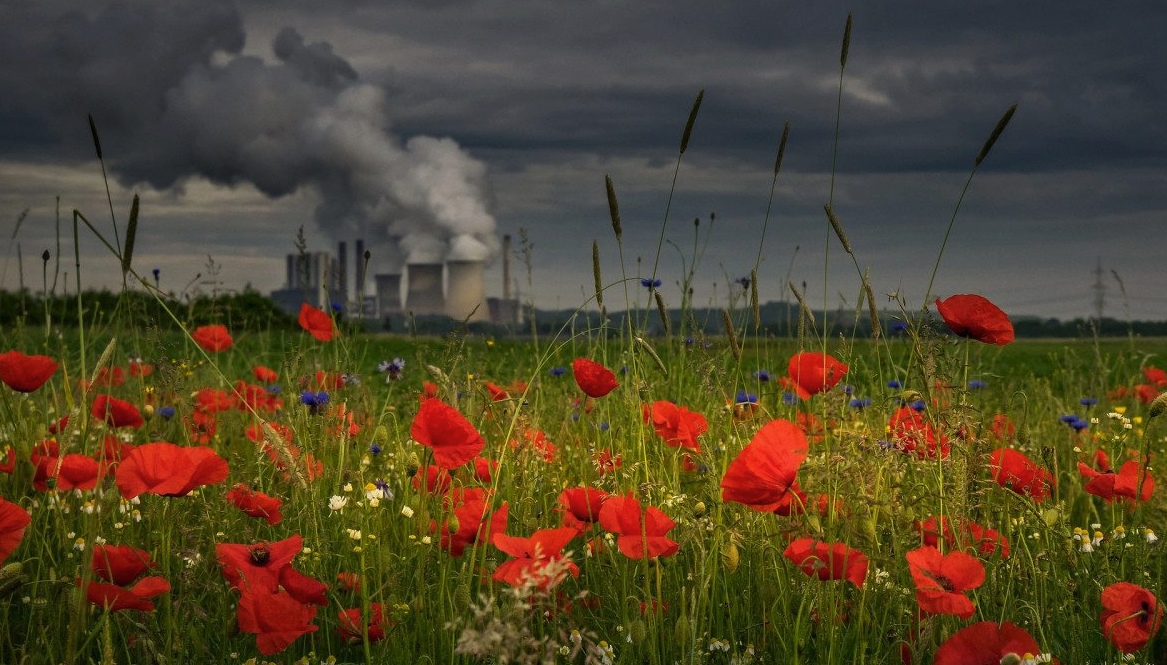 EEB: ‘EU governments fail to curb emissions from toxic plants’