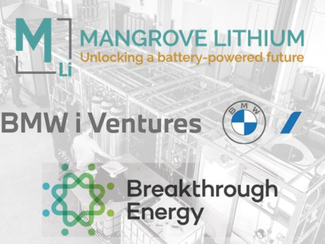 BMW invests in lithium producer Mangrove Lithium