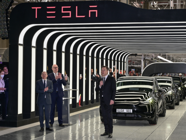 Musk angry over Tesla thrown out of sustainability index