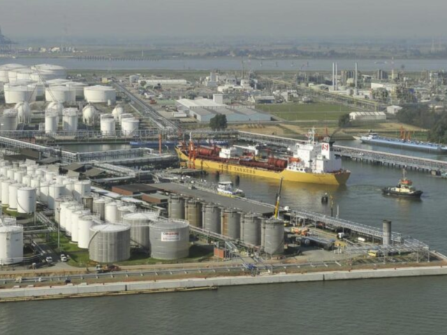 Fluxys to study green ammonia terminal in Port of Antwerp-Bruges