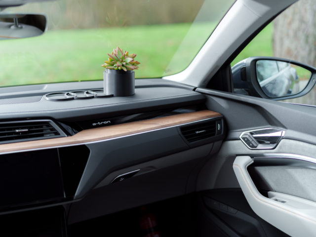 Audi launches ‘in-car flowerpot’ with Daniel Ost